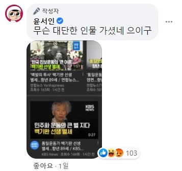 사진=윤서인 페이스북 캡처.