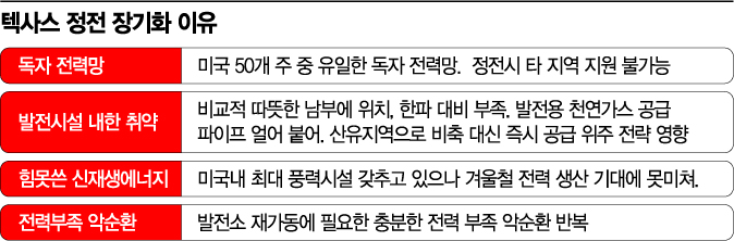 얼음지옥 변한 사막, 텍사스…"바이든 에너지 정책에 경고 신호"
