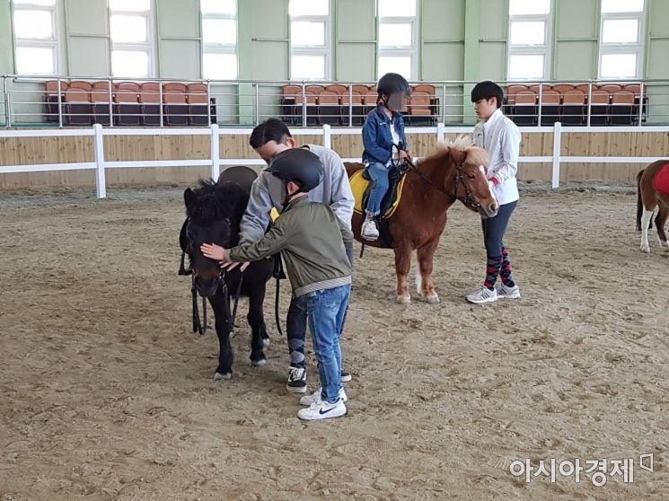 영천시, 운주산 '승마조련센터' 요금체계 개편 … 시민에 최대 50% 할인