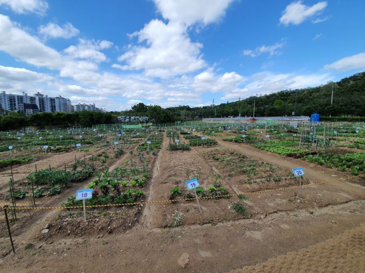 일자산텃밭