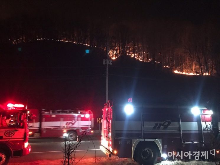 안동시 임동면 망천리 야산 산불 모습.