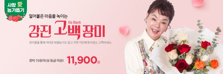 우체국쇼핑 메인 배너 모델 배우 김수미 (사진=강진군 제공)