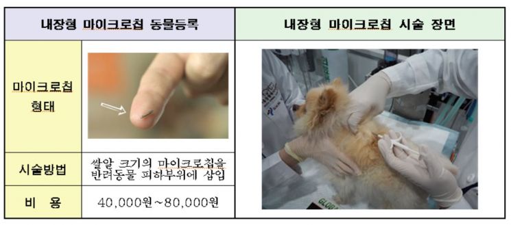 3월부터 서울시민 1만원에 '반려견 내장형 동물등록'…3.2만 마리 선착순 지원