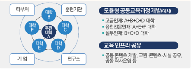 디지털 인재 10만명 키운다…'혁신공유대학' 계획 확정
