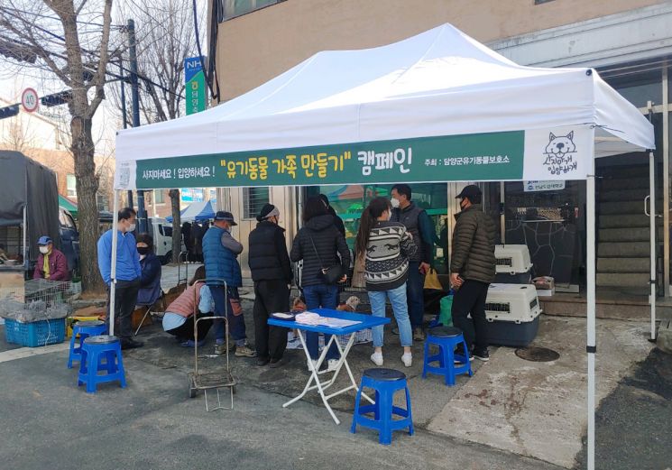 담양군 ‘사지말개 입양하개’ 유기 동물 입양 캠페인 개최