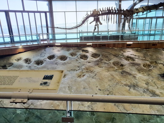 해남 우항리 공룡 화석지, 국가 중요과학 기술자료 등재