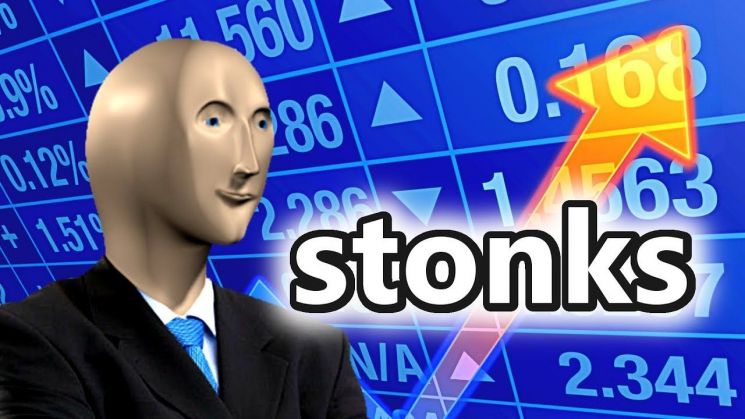 주식을 뜻하는 영단어인 'stock(스톡)'을 일부러 틀리게 적은 'stonk(스통크)'는 밈 주식 투자자들이 즐겨 쓰는 신조어로 알려져 있다. / 사진=유튜브 캡처