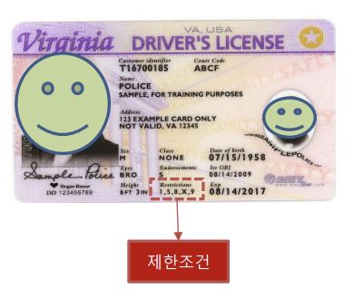 고령운전 사고 치사율 1.8배 더 높아…"조건부 운전면허 필요"
