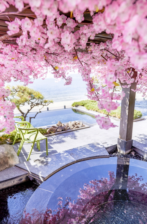 벚꽃 테마로 조성한 파라다이스호텔 부산 야외 온천 씨메르.