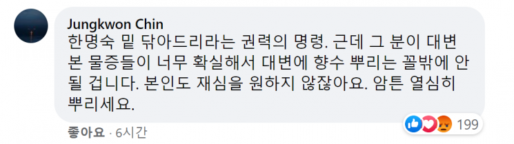 임은정 대검찰청 감찰정책연구관의 페이스북에 달린 진중권 전 동양대 교수의 댓글. 사진=임 연구관 페이스북 캡쳐