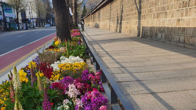 서울시, 120개 노선 '봄꽃거리'로…침체상권·선별진료소 주변에도 조성