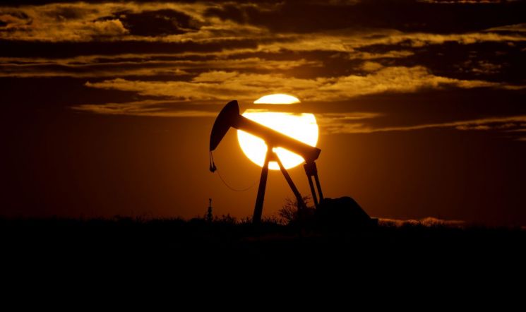 예상 뒤엎은 OPEC+ 산유량 동결결정...국제유가 4.2% 폭등