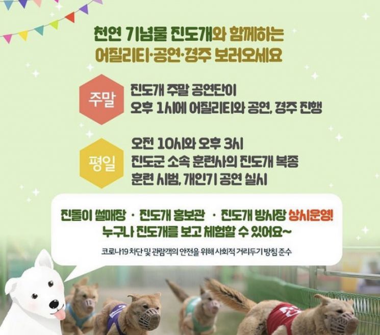 "인간 위한 놀잇감?" 또다시 발생한 테마파크 동물학대 의혹, 문제없나 