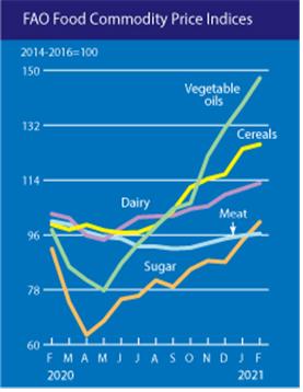 품목별 2월 세계식량가격지수.(자료=농림축산식품부)