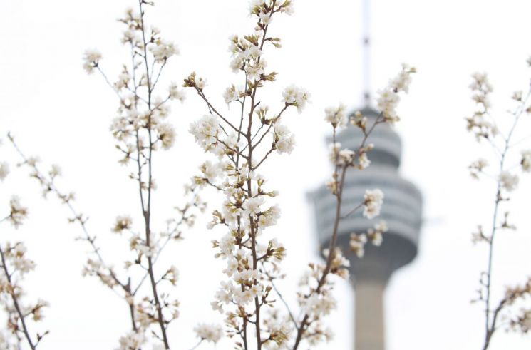 '취업 한파' 대구시, 구직 청년에 20만원씩 지급 … 1만5000명 한정
