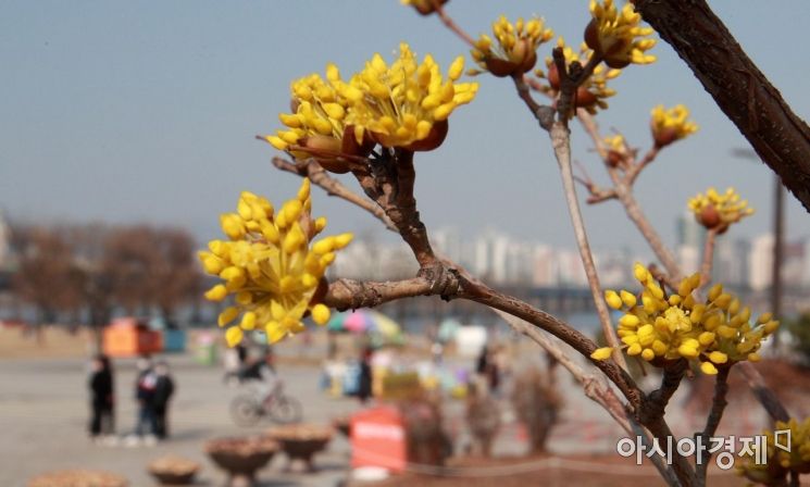 [포토] '봄이 왔나 봄'