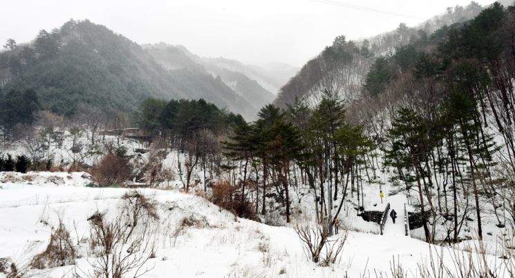 폭설에 덮인 구룡령옛길