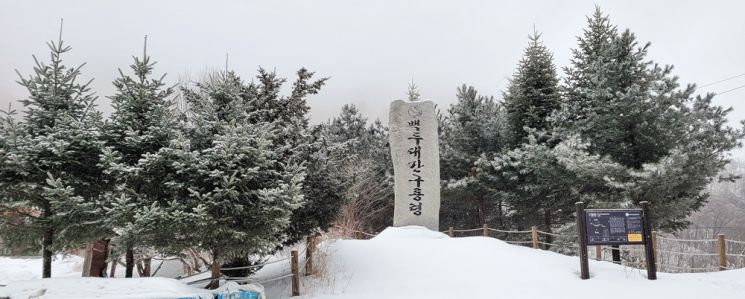 [조용준의 여행만리]춘삼월 수묵화…유려히 흐르는 아흔아홉굽이 묵선