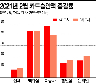 "백화점서 명품사고 車도 질렀어요" 보복소비에 카드 결제 '급증'(종합)