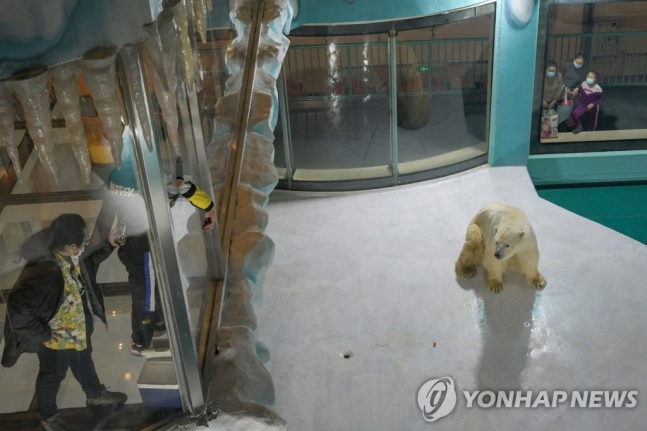 12일 중국 헤이룽장(黑龍江)성 하얼빈(哈爾濱)에 이날 개장한 한 호텔 실내에 설치된 우리에 북극곰들이 갇혀있고 투숙객들이 이를 구경하고 있다. [AFP=연합뉴스]/ 사진 = 연합뉴스