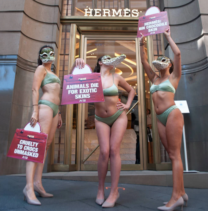 "악어가죽 쓰지 마세요"…호주 에르메스 매장 앞에서 비키니 시위