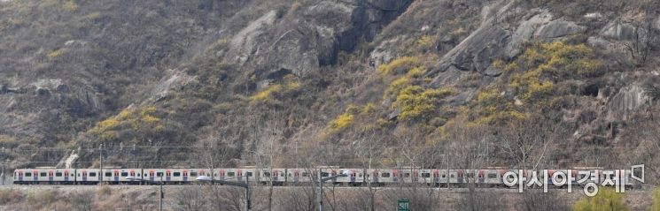 [포토]'봄빛 열차'