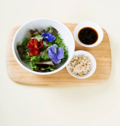 「오늘의 레시피」 꽃 비빔밥