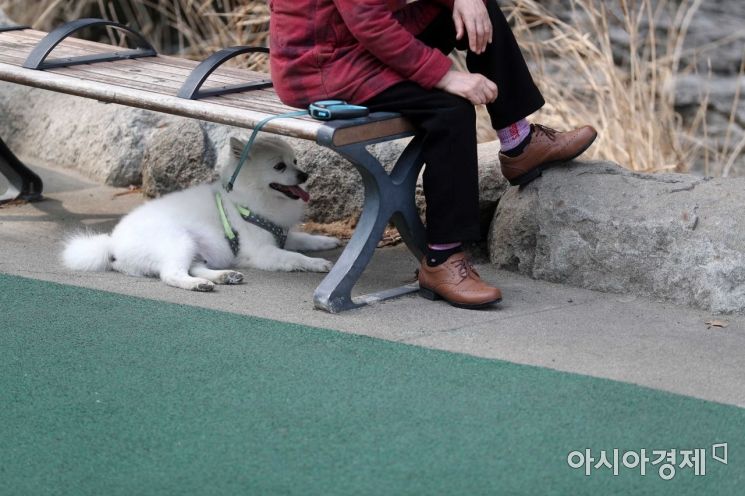 봄 기운이 짙어지고 있는 18일 서울 서대문구 홍제천에서 한 강아지가 그늘에서 쉬고 있다. /문호남 기자 munonam@