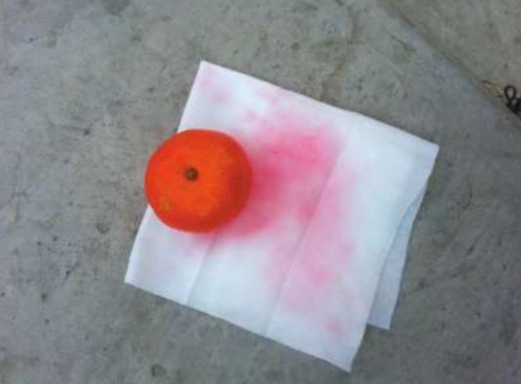 중국산 이래서 먹겠나…中 이번엔 '염색 귤·염색 파' 논란