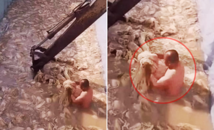 중국산 이래서 먹겠나…中 이번엔 '염색 귤·염색 파' 논란