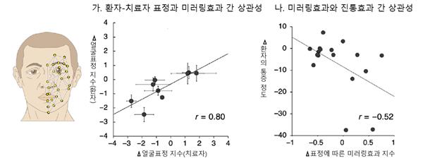 침 치료 과정에서 환자와 치료자간 얼굴표정의 변화가 유의미한 양의 상관관계를 보일 때 미러링 효과가 나타났다고 볼 수 있고, 이때 치료자 및 환자 간 표정의 미러링 지수는 침 치료에 의한 통증 변화와 유의미한 음의 상관관계(r = 0.52, p = 0.031)를 보였다. 제공=한국한의학연구원