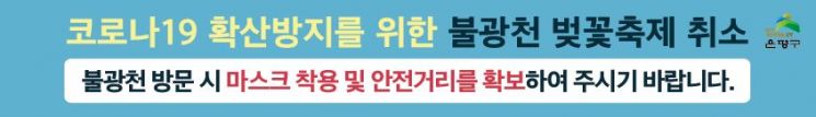 은평구 불광천 벚꽃축제 취소