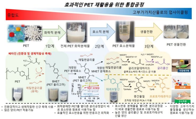 사진제공=한국연구재단