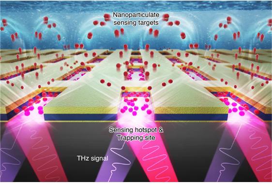 나노입자 포집과 테라헤르츠파(THz) 증폭 기술을 결합한 신개념 광-전기 집게 개념도. 사진제공=한국연구제단