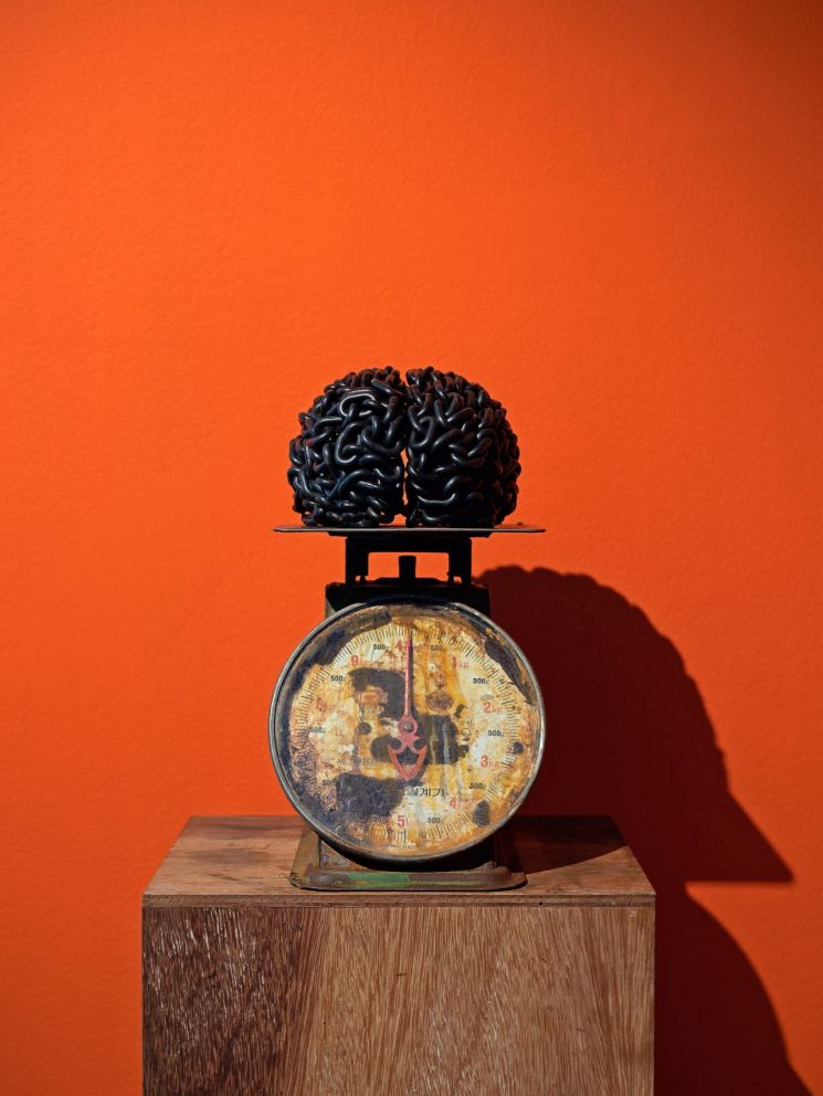 [갤러리산책] 마음으로 듣는다…땅과 바람의 소리