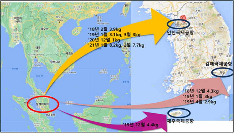 말레이시아발 필로폰 주요 밀수 사례./대검찰청 제공