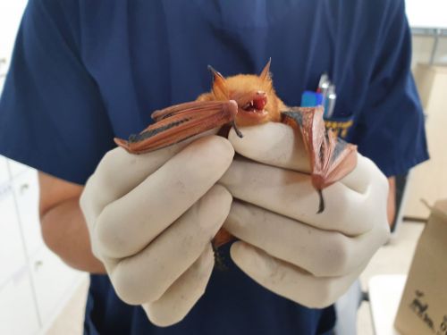 기사의 이해를 돕기 위한 자료 사진. 아시아경제DB