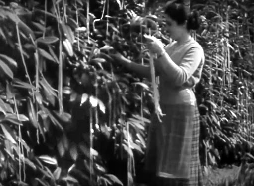 초콜릿 와퍼에서 테슬라 파산까지…美 기업들의 만우절 농담과 역풍