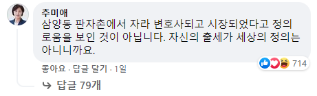 사진=이낙연 더불어민주당 상임선대위원장 페이스북 댓글창 캡처.