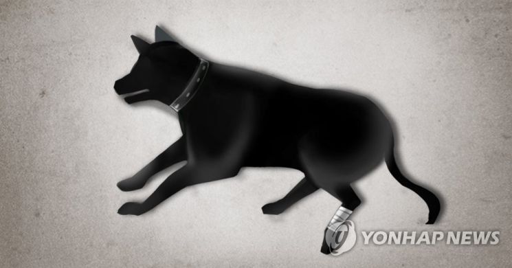 손가락 물었다고 반려견 때려죽인 20대 벌금형…시민들 "솜방망이 처벌" '공분'