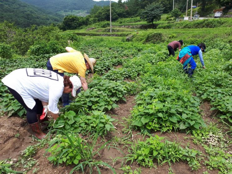 '1개소당 1500만원' 농업 외국인근로자 주거지원사업 접수
