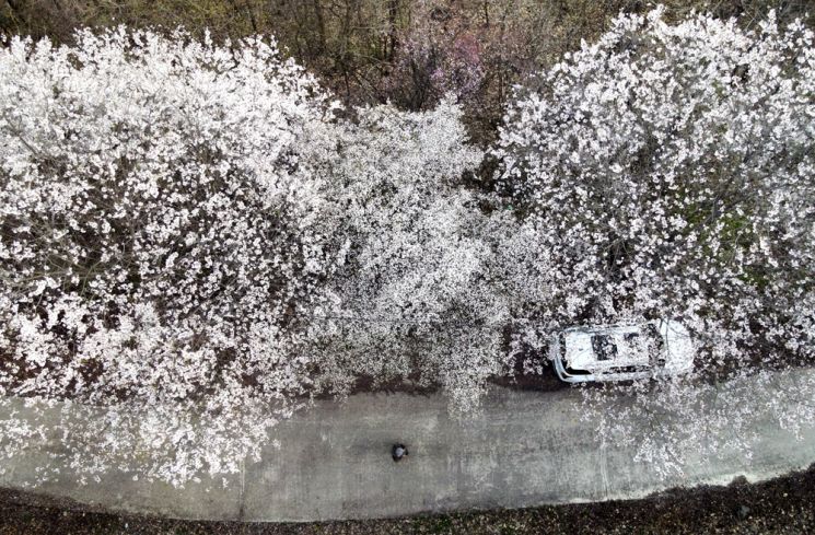 [조용준의 여행만리]호숫가 기암절벽 꽃과 솔의 향연…숨겨진 '힐링 성지'