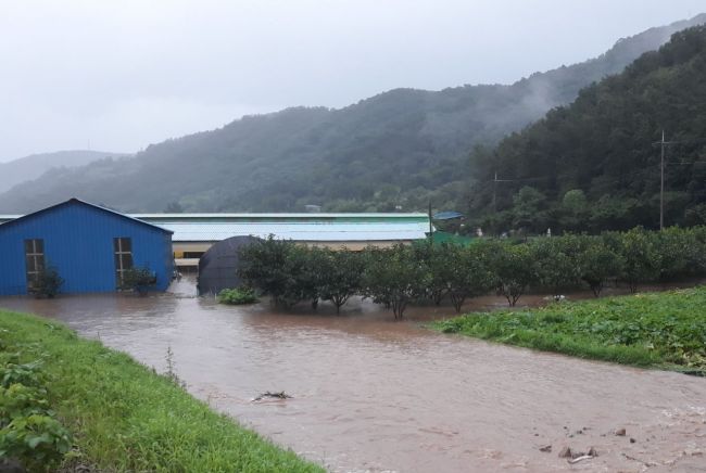 장성군, 배수개선사업에 신흥지구 선정…국비 60억 원 확보