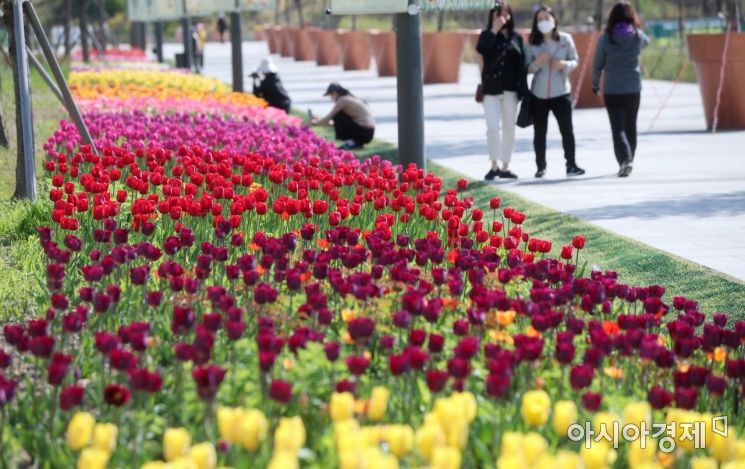 [포토] 서울식물원 봄꽃길 걷는 시민들