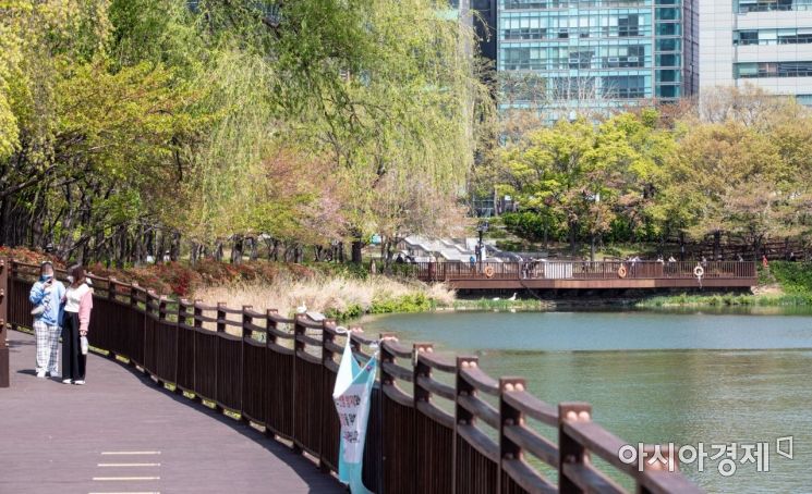 [포토]벚꽃진 석촌호수