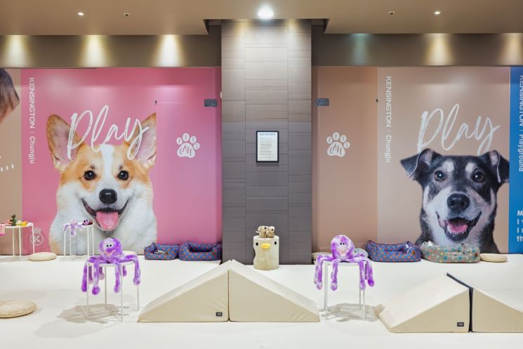 "Kensington Hotel & Resort Expands Pet Content with 'Companion Travel Package' Launch"