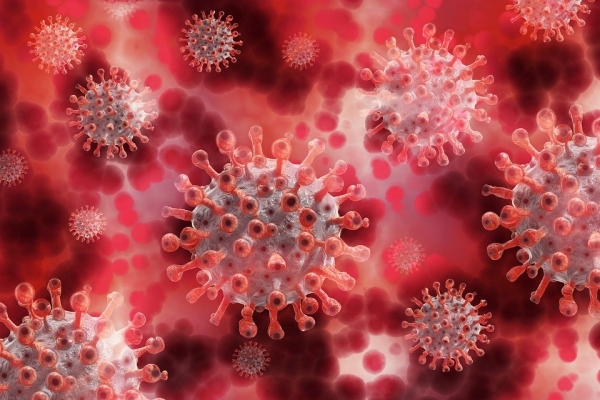 멀쩡한 사람을 코로나에 감염…영국 옥스퍼드대 코로나 연구 논란