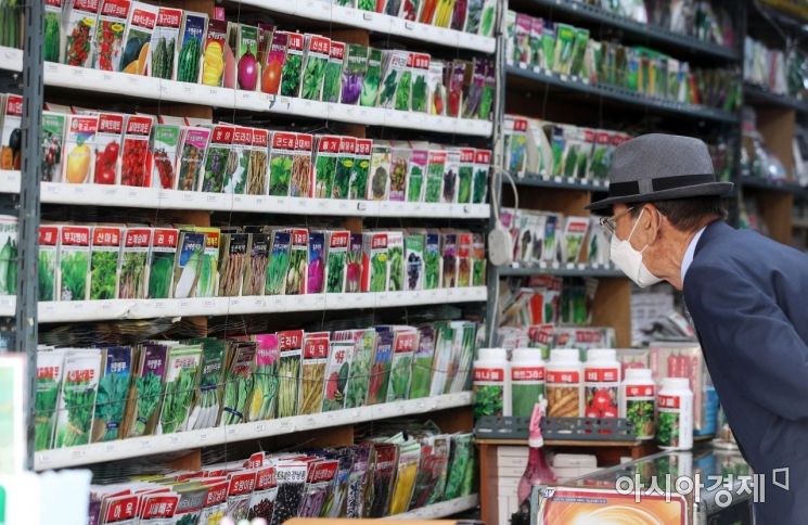 [포토] 씨앗 고르는 노신사