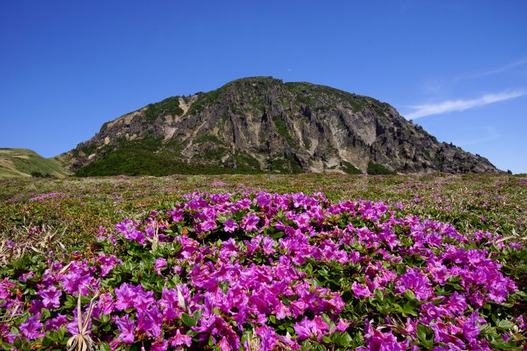 한라산국립공원, 내달부터 하절기 입산·하산 시간 연장
