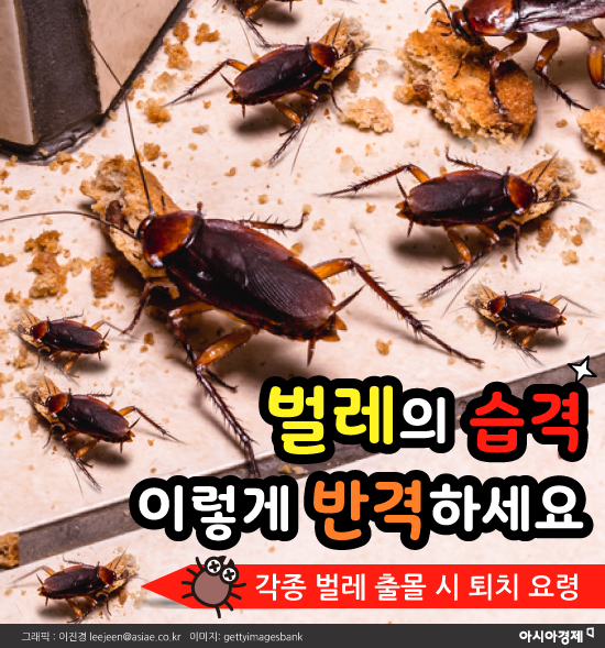 [카드뉴스]벌레의 습격 이렇게 반격하세요